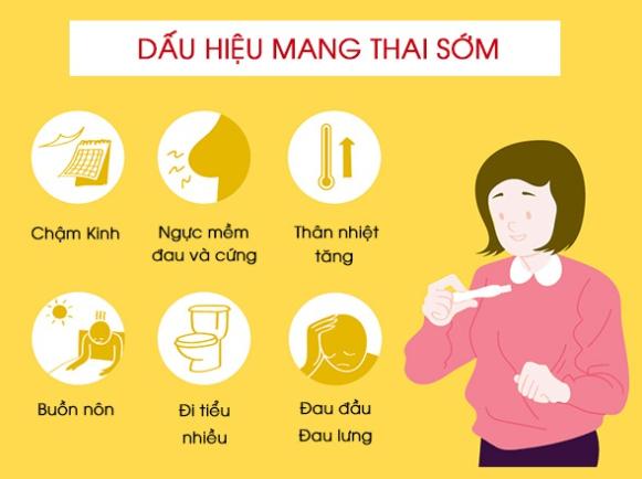 Dấu hiệu mang thai tuần đầu – Nhận biết sớm để chăm sóc kịp thời