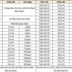 Bảng cân nặng thai nhi theo tuần chuẩn mới nhất 2026
