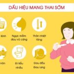 Dấu hiệu mang thai tuần đầu – Nhận biết sớm để chăm sóc kịp thời
