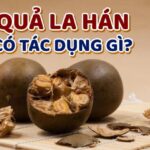 Quả La Hán Có Tác Dụng Gì