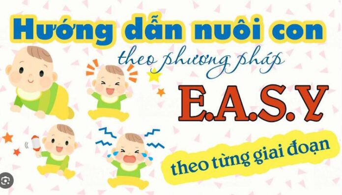 nuoi con easy