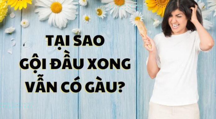 tai sao goi dau xong van co gau