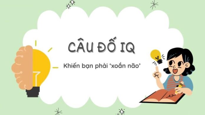Top Những Câu Đố IQ Hại Não
