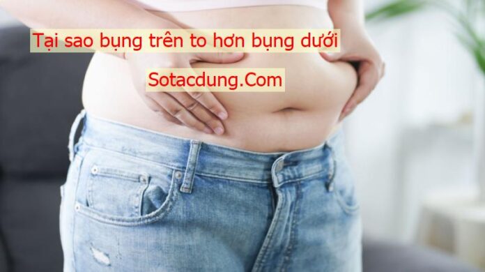 Tại Sao Bụng Trên To Hơn Bụng Dưới