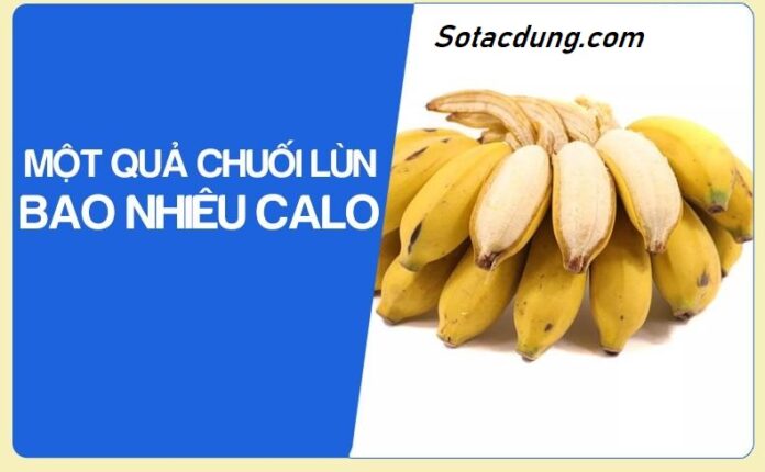 Hỏi 1 Quả Chuối Lùn Bao Nhiêu Calo